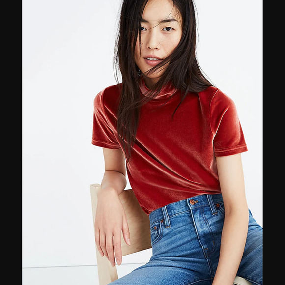 NWT Madewell Velvet Mockneck Tee - Picture 1 of 5